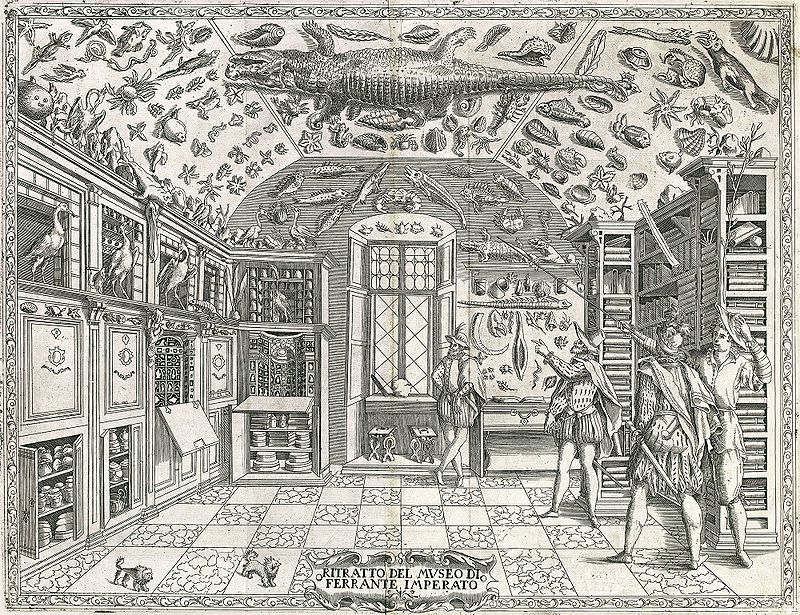 Engraving from Ferrante Imperato, Dell'Historia Naturale (Naples, 1599) 